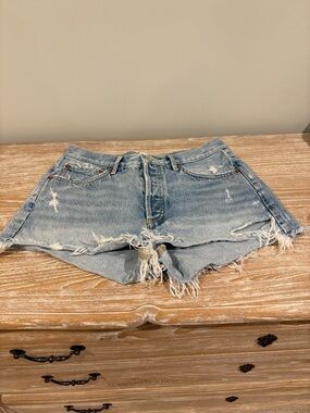 Agolde Parker Denim Women's Shorts